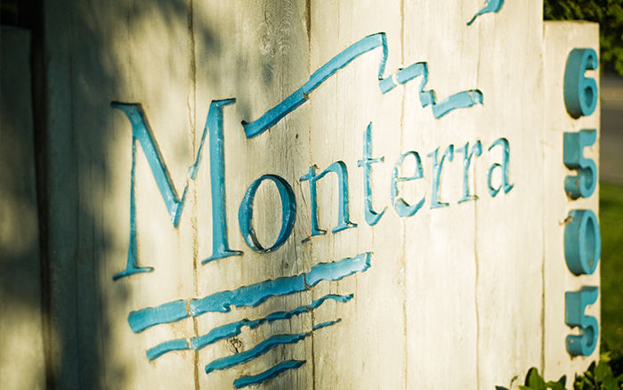 Monterra Monterra4